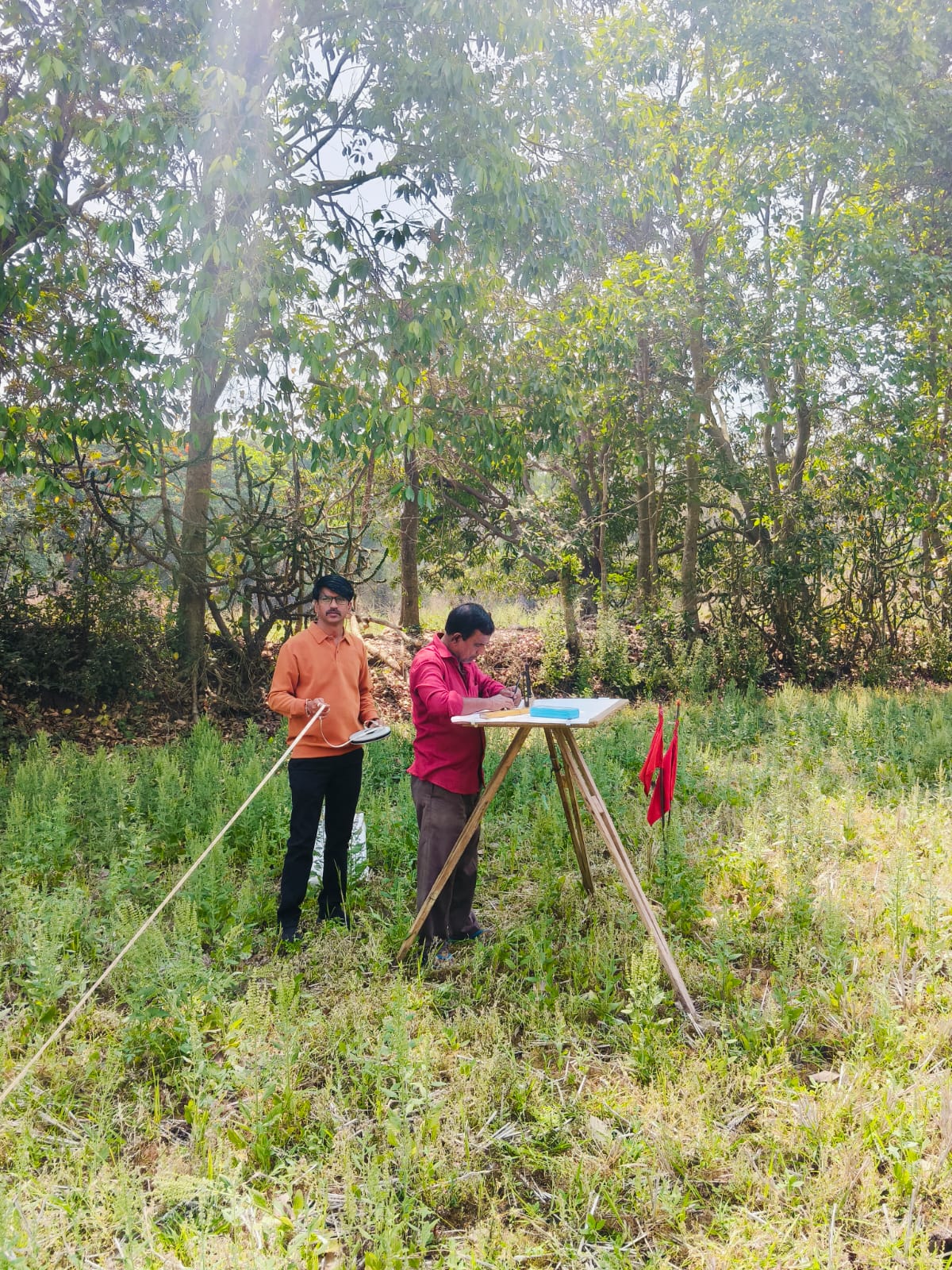On-Field Layout Verification